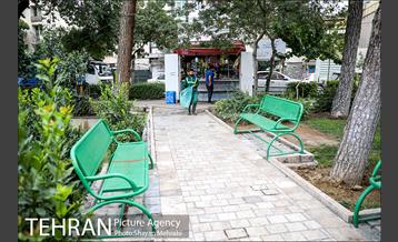 چالش دکه داری 20