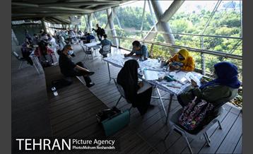 عصرانه کارتون پل طبیعت 1