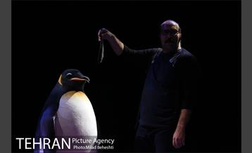 نمایش مرگ و پنگوئن  4