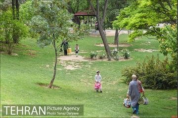 بوستان پلیس 1