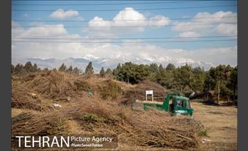 تولید کود کمپوست در پارک جنگلی آزادشهر 23