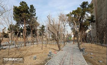 بوستان عزیز