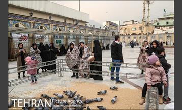 آستان مقدس امامزاده صالح(ع) 43