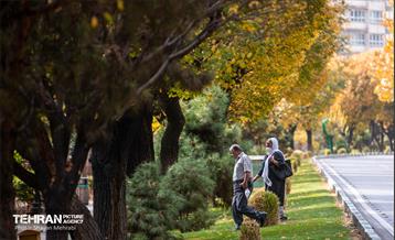 سمفونی رنگ های پاییزی  19