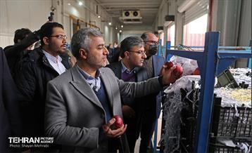 بازدید اصحاب رسانه از زنجیره تامین محصولات مصرفی ماه رمضان و میوه شب عید 31