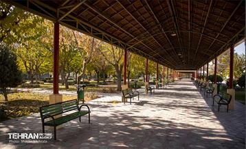 سمفونی رنگ های پاییزی - بوستان رازی 13