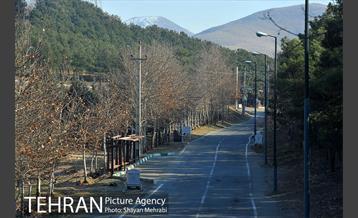 پارک جنگلی سرخه حصار 45