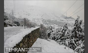 برف زمستانی پارک جمشیدیه 1