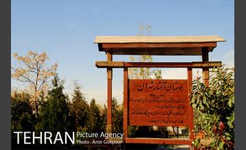 آبشار رنگارنگ 7