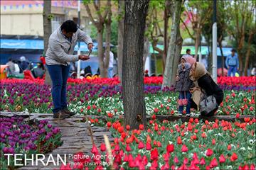 جشنواره لاله‌ها در بوستان زندگی محله هرندی 17