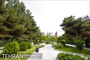بوستان سنگی 11