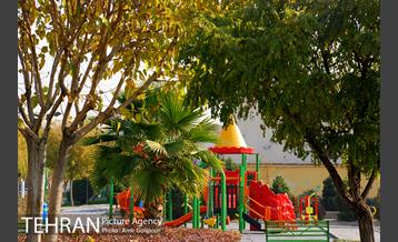 بوستان بنفشه 2