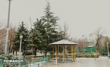 روز برفی در منطقه 8 13