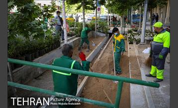 گلکاری در خیابان ولیعصر 4