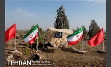 مجتمع پردازش و بازیافت زباله آراد کوه کهریزک  36