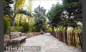 طبیعت پاییزی بوستان فدک 19