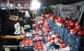 دوازدهمین جشنواره انار  11