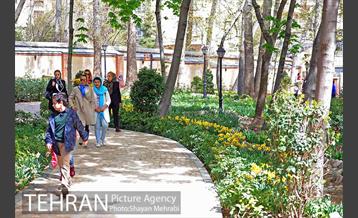 رویش گل های لاله در باغ ایرانی 7