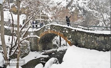 بارش برف زمستانی در منطقه 1 9