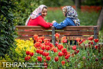لاله های باغ ایرانی 12