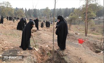 غرس ۲۷۸۲ نهال در سرخه‌حصار به یاد درگذشتگان جامعه پزشکی 5