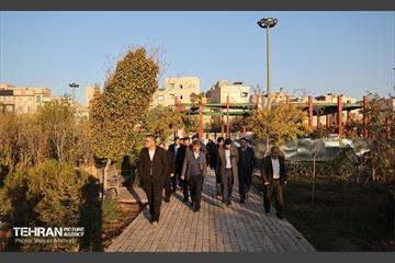 بازدید کمیسیون برنامه و بودجه شورای شهر از پروژه‌های منطقه 11 29