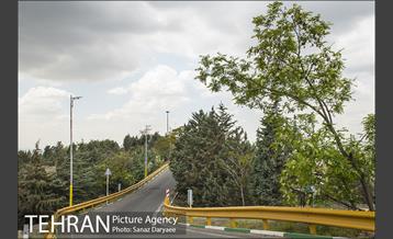 بوستان جنگلی لویزان 18