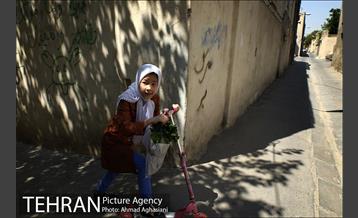 در پس کوچه های تهران قدیم 12