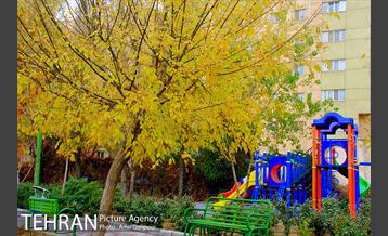 بوستان پارسیان 6