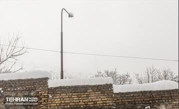 روایت مه‌و‌برف در بوستان سنگی تهران  38