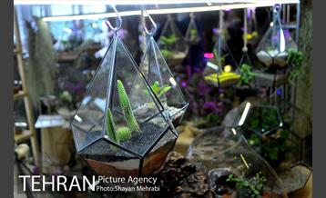 نمایشگاه بین المللی گل و گیاه 3