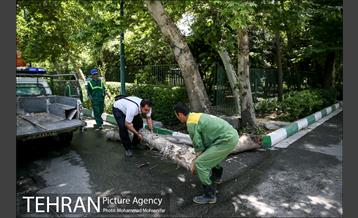 آماده سازی دانشگاه تهران برای نماز جمعه 26