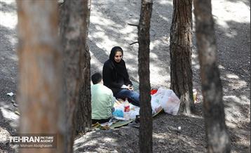 روز طبیعت در پارک جنگلی لویزان 32