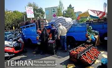 میوه فروشان خیابانی 7