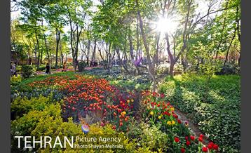 رویش گل های لاله در باغ ایرانی 22