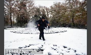 بارش برف پاییزی در تهران 13