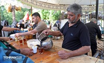 پیاده روی اربعین حسینی؛ طریق العلماء 23