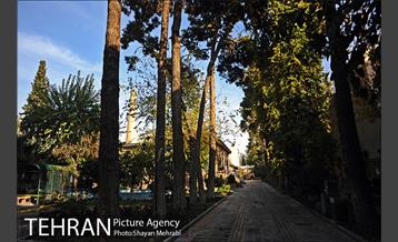 موزه حیات وحش هفت چنار 58