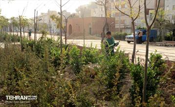 بازدید مشترک مدیران شهری برای کمک به پیشرفت پروژه باغ راه حضرت فاطمه زهرا (س) 14