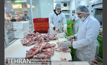 نشست خبری فروش فوق العاده "لبخند نوروزی" شهروند 28