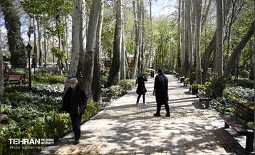 باغ ایرانی در ایام نوروز  16