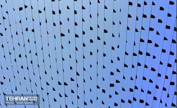 رخت عزا بر تن منطقه 5