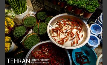 بازار تجریش در آستانه نوروز ۹۸ 4