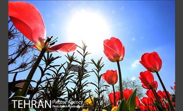 عکس های منتخب آژانس عکس تهران در خرداد ماه 16