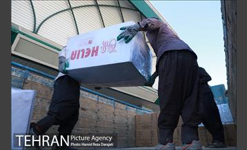 ارسال کمک های شهرداری تهران برای مردم زلزله زده سی سخت 13