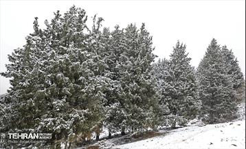 بارش برف زمستانی در بوستان سرخ حصار 12