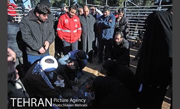 تشییع شهدای آتش نشان  در بهشت زهرا(س) -4 28