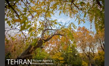 پاییز پارک شهر 25