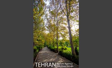 پاییز بوستان لاله 26