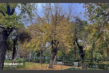پاییز پارک شهر 3